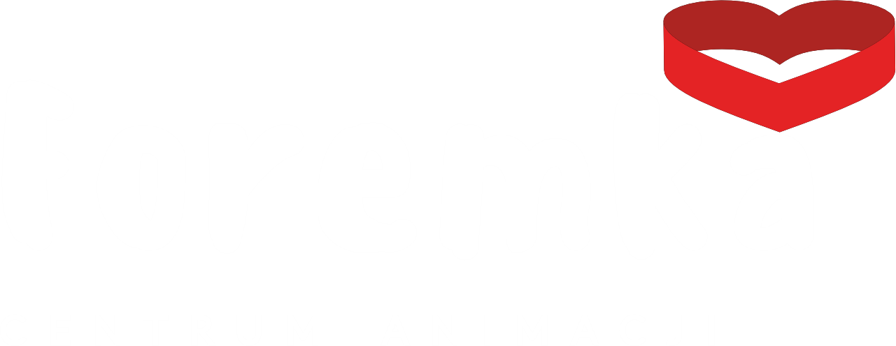 Centrum Animacji Foremka – Agata Nikodem